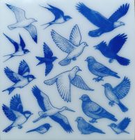 Vogels 2 - 10x10 cm
