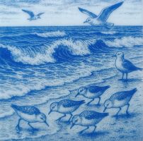 Strand vogels - 10x10 cm