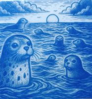 Zeehond 2 - 10x10 cm