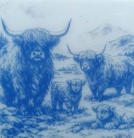 Schotse Hooglander 2 - 10x10 cm